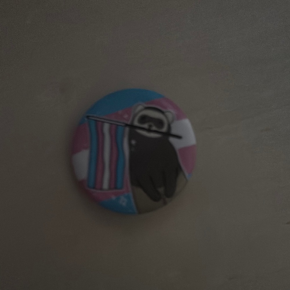 Raccoon Pin with trans flag
